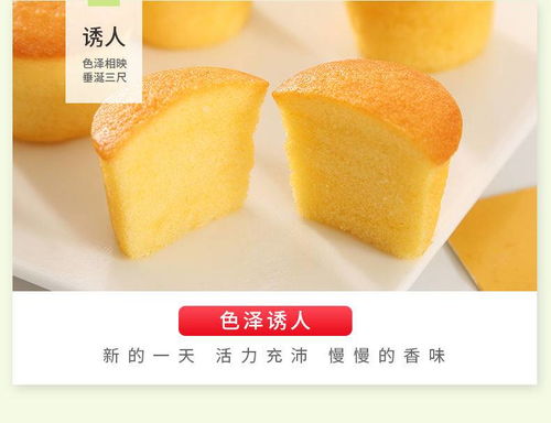 營養(yǎng)西式糕點(diǎn)新潮流 早餐小蛋糕與雞蛋面包的整箱批發(fā)指南